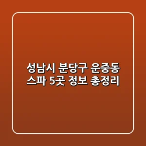 성남시 분당구 운중동 스파 5곳 정보 총정리