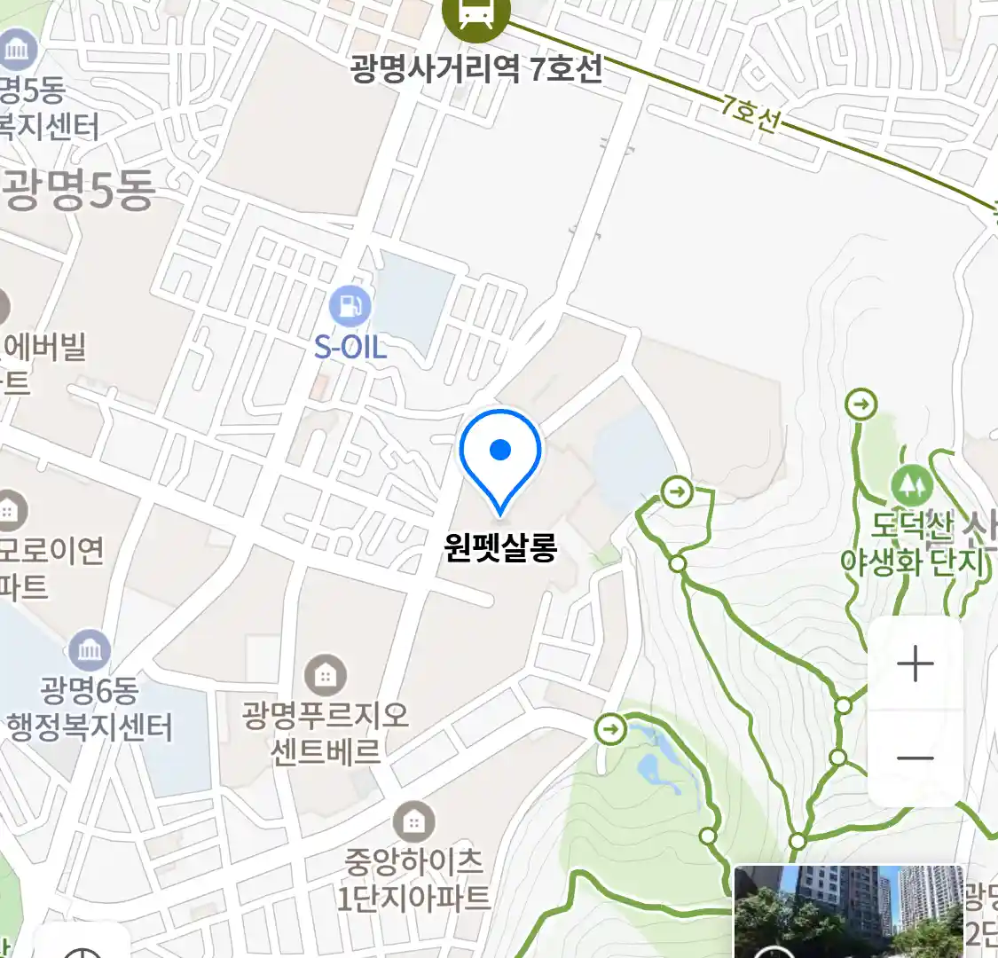 원펫살롱 위치