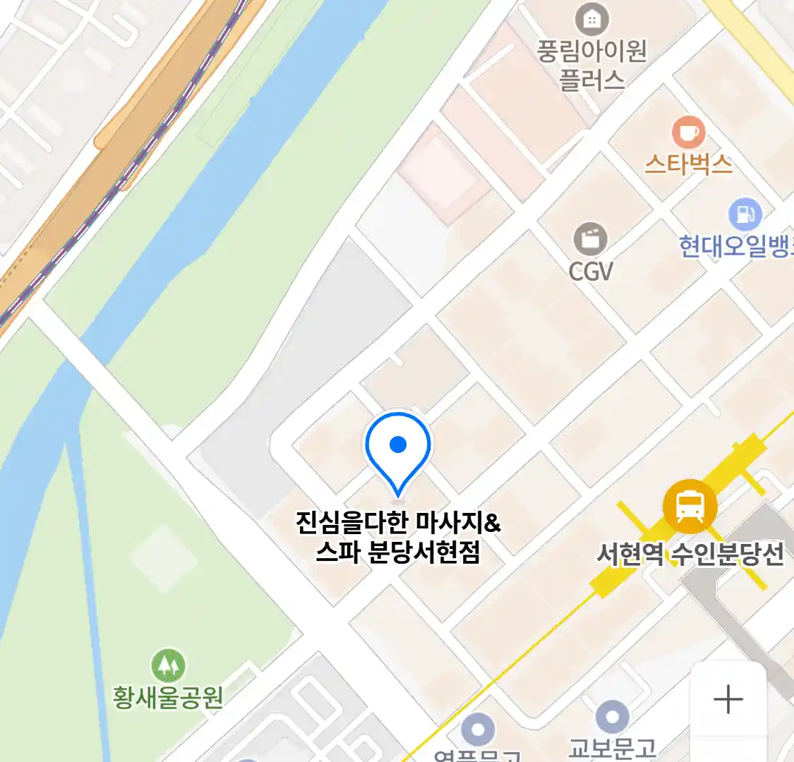진심을다한 마사지&스파 분당서현점 위치