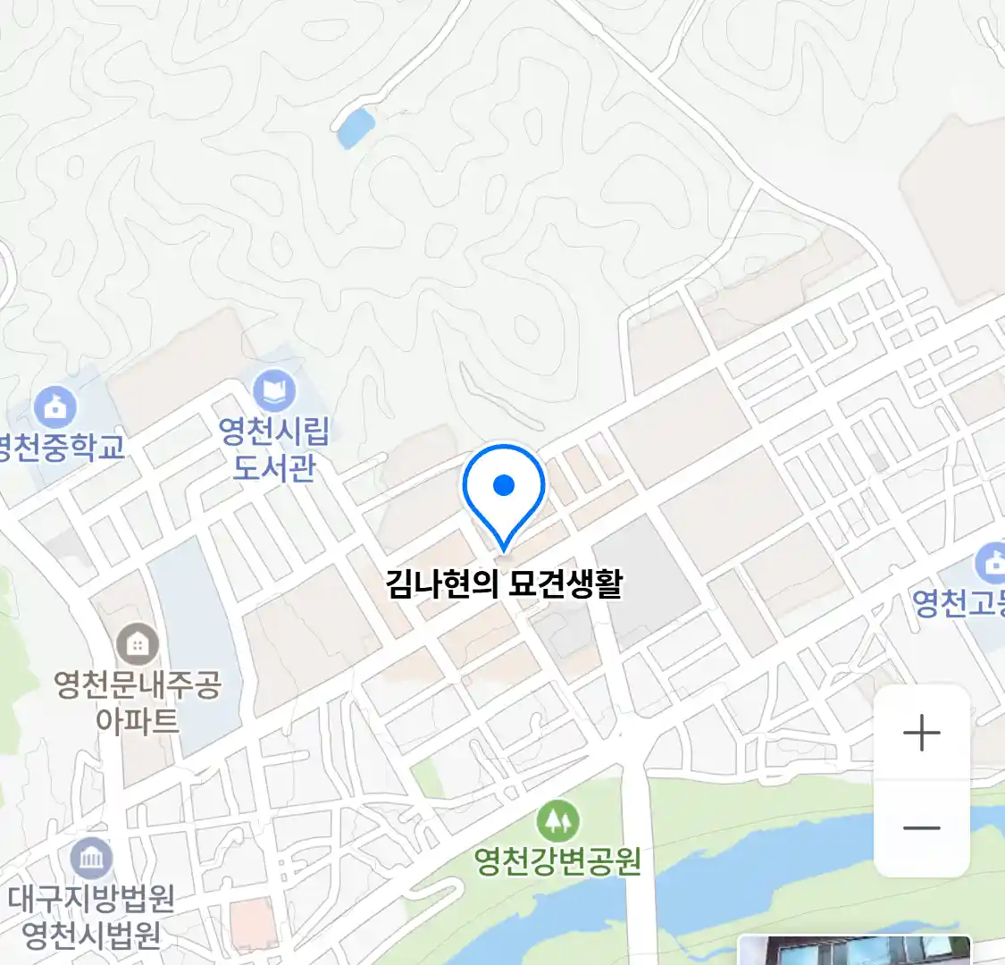 김나현의 묘견생활 위치