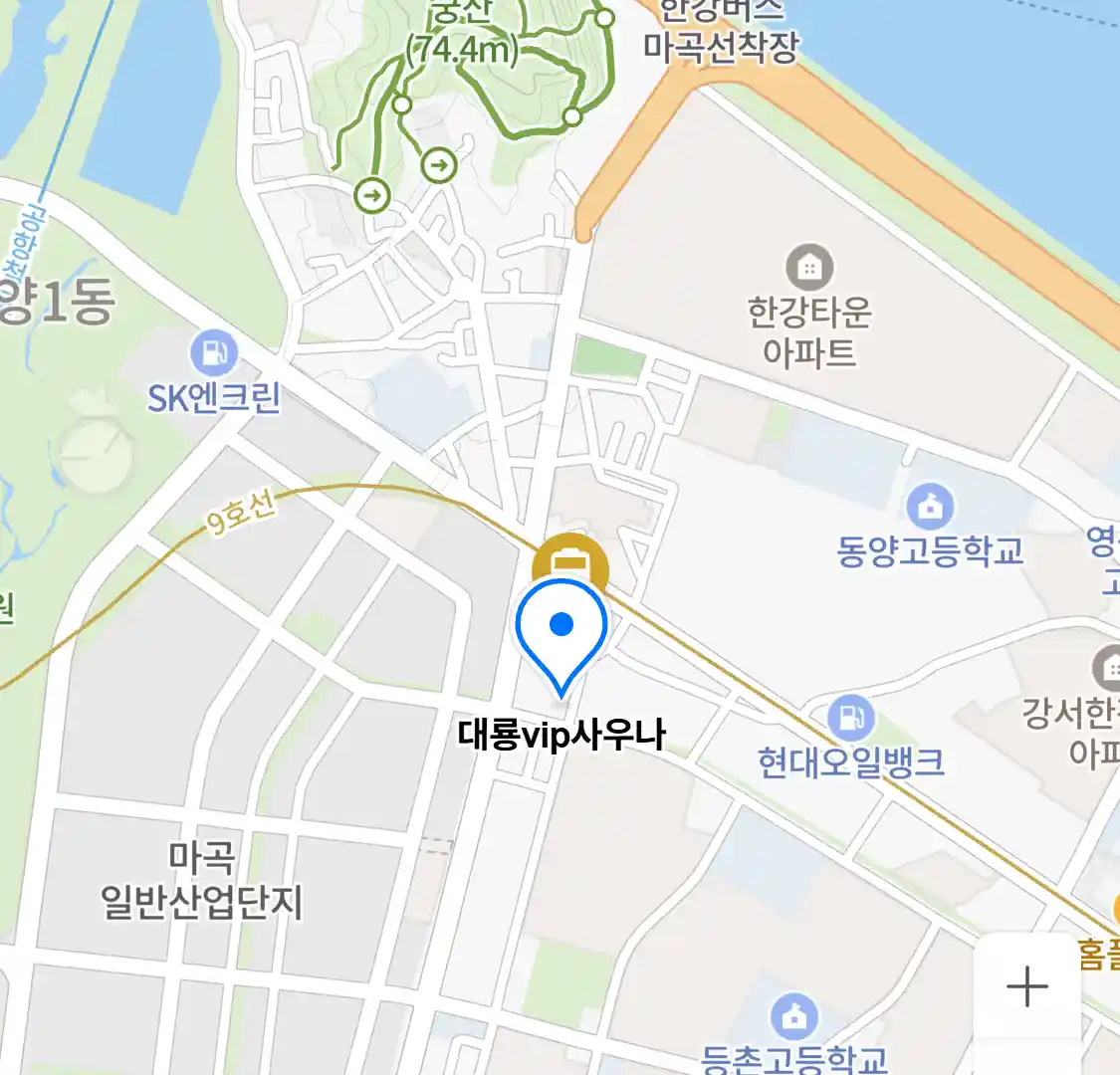 대룡vip사우나 위치