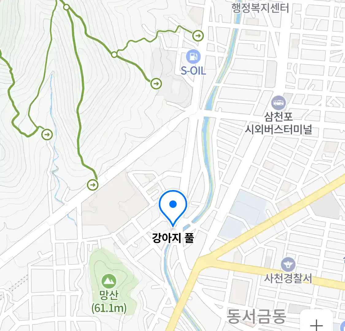 강아지 풀 위치